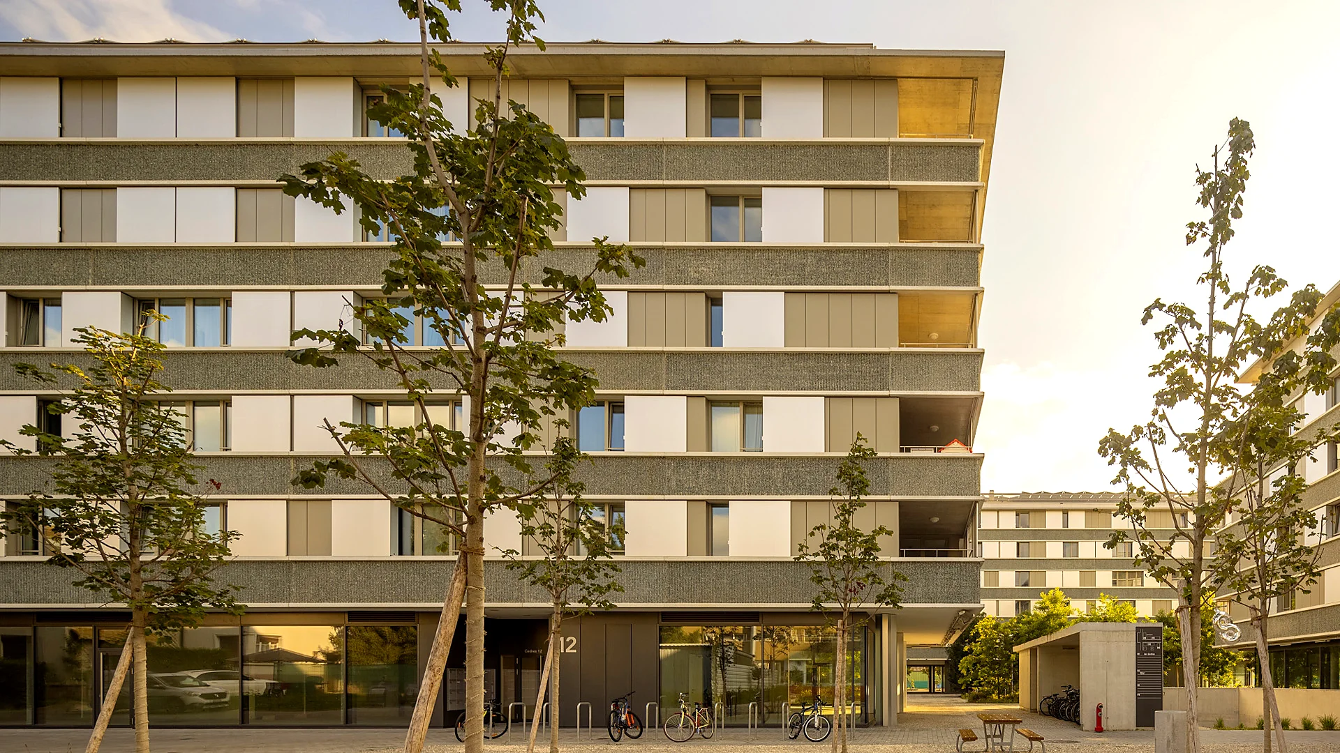 QUARTIER DES CEDRES ETAPES 1-2