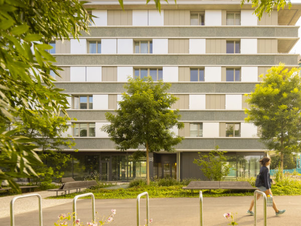 QUARTIER DES CEDRES ETAPES 1-2