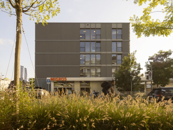QUARTIER DES CEDRES ETAPES 1-2