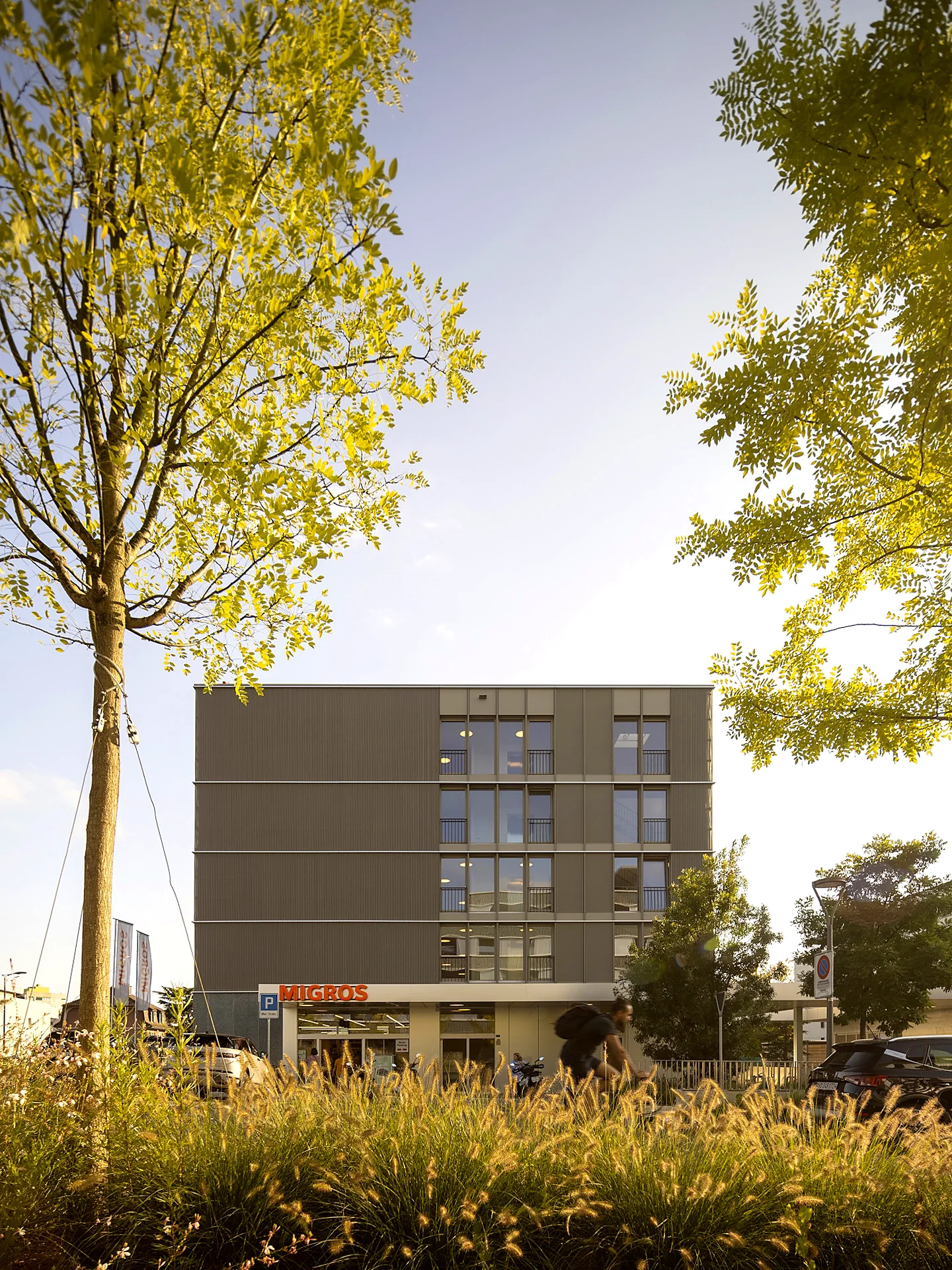 QUARTIER DES CEDRES ETAPES 1-2