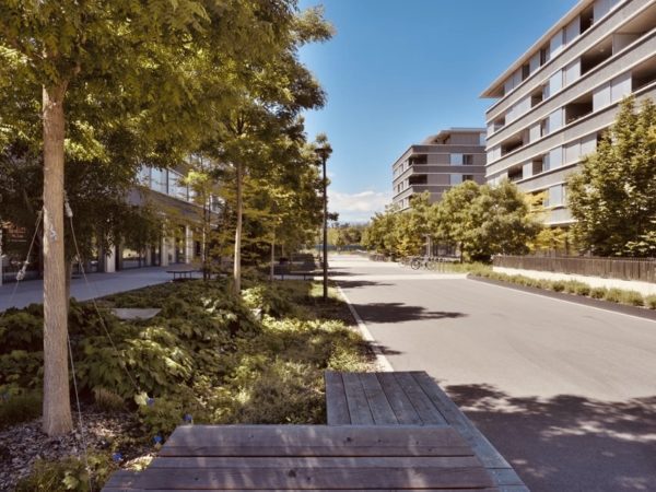QUARTIER DES CEDRES ETAPES 1-2