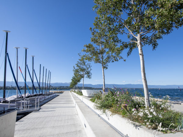 AGRANDISSEMENT DU PORT DE LA SNG