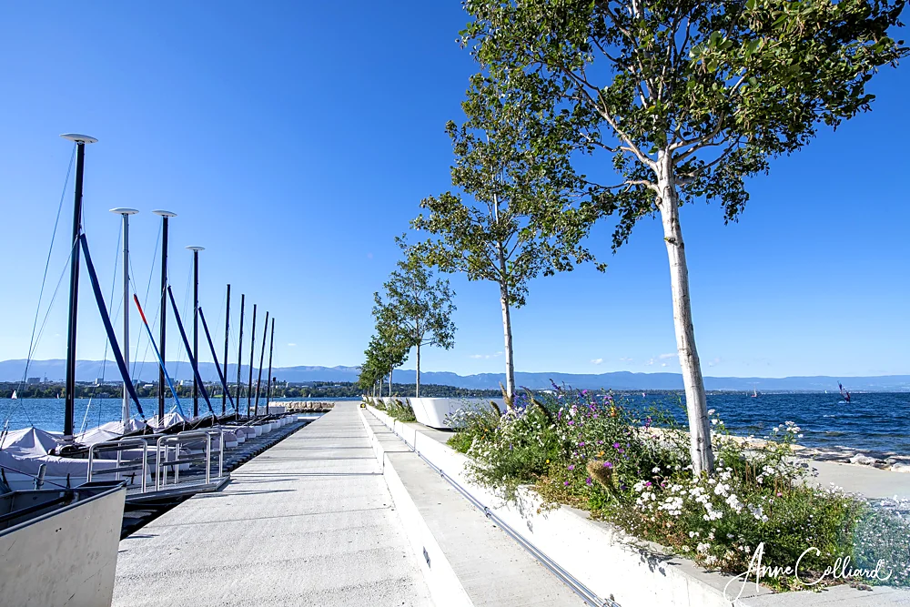 AGRANDISSEMENT DU PORT DE LA SNG
