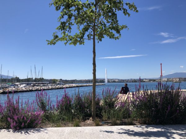 AGRANDISSEMENT DU PORT DE LA SNG