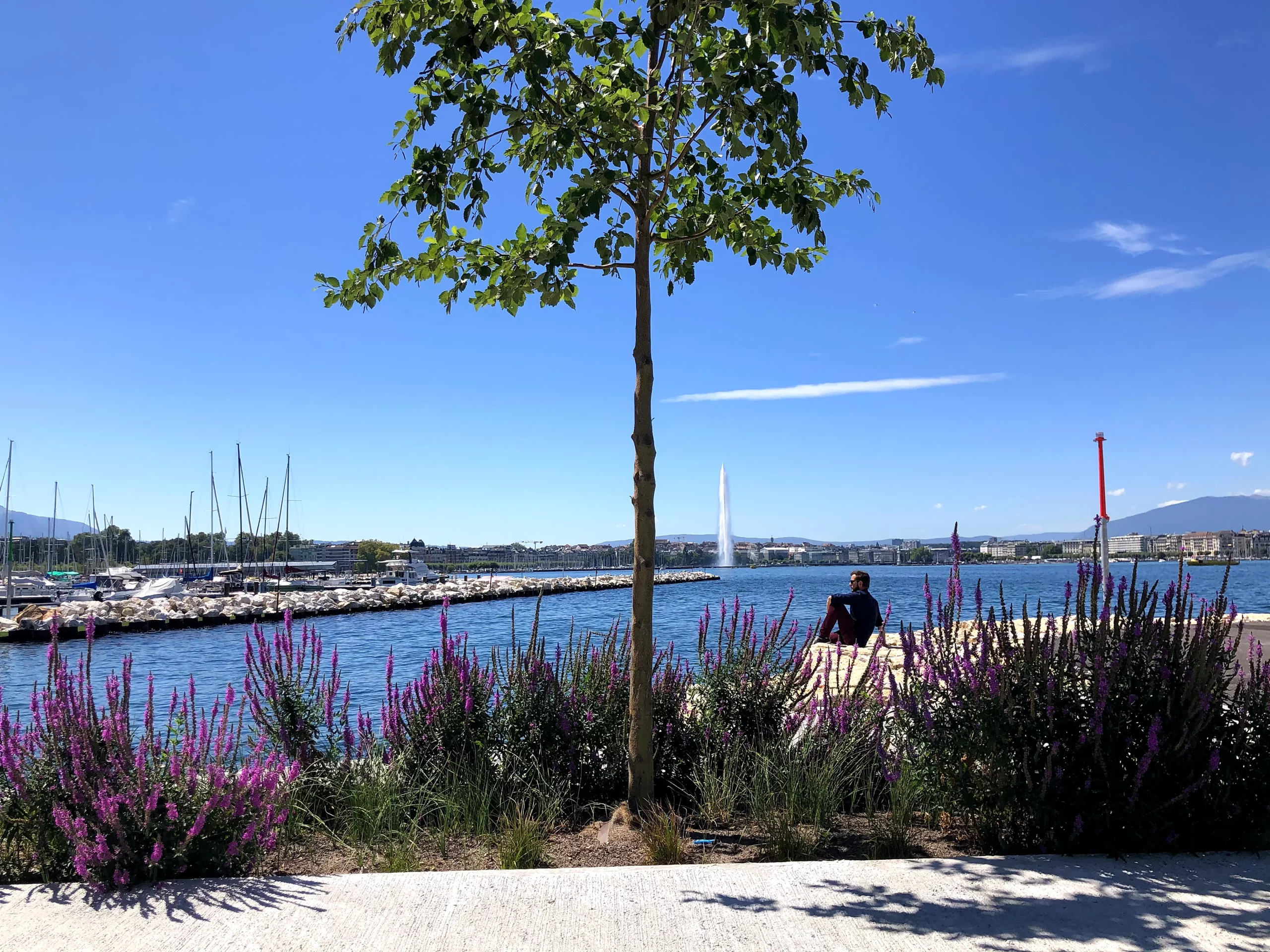 AGRANDISSEMENT DU PORT DE LA SNG