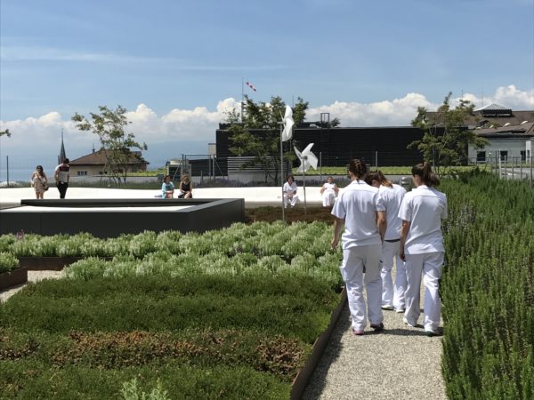 ESPLANADE ET TOITURE-JARDINS DU CHUV