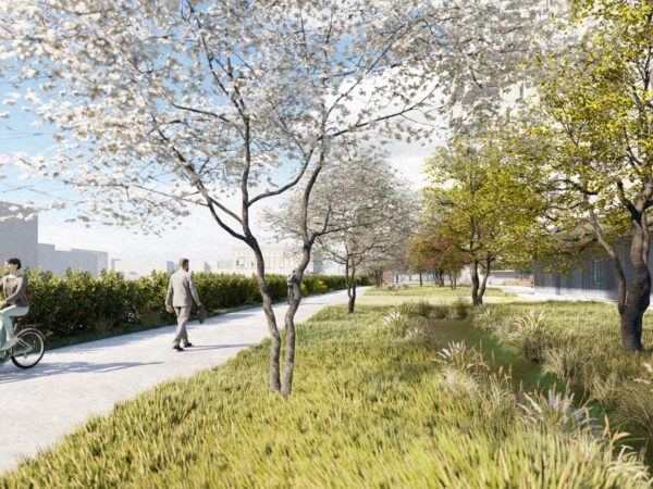 QUARTIER DES CEDRES ETAPES 1-2