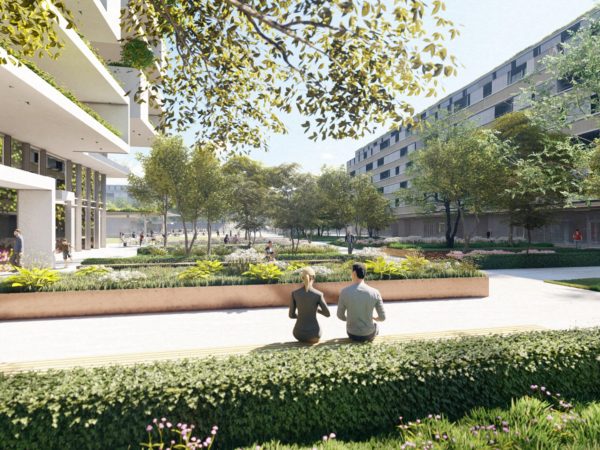 QUARTIER DES CEDRES ETAPES 1-2