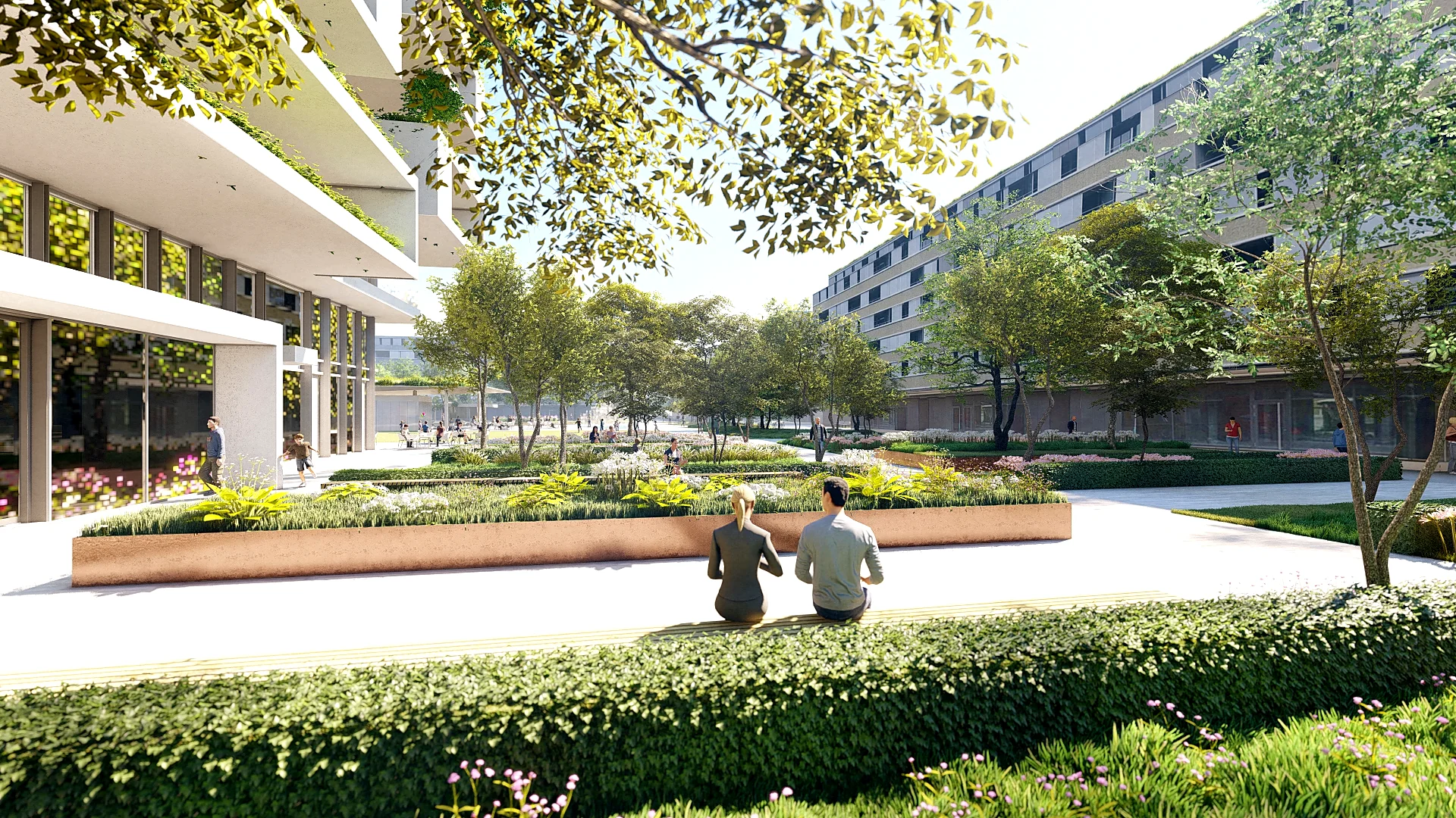 QUARTIER DES CEDRES